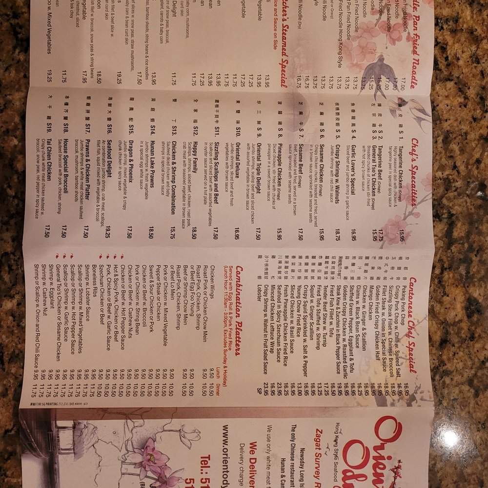 Orient Odyssey - Menu Pg 1 - Cantonese Near Me - Jericho, New York Orient Odyssey - Menu Pg 1 - Cantonese Near Me - Jericho, New York