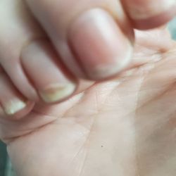 V N Nails