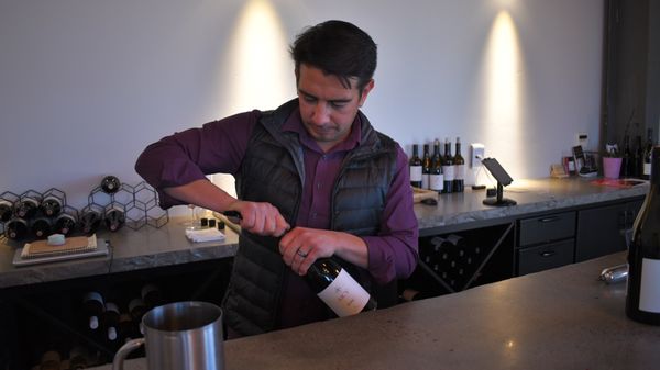 MCV Wines by null