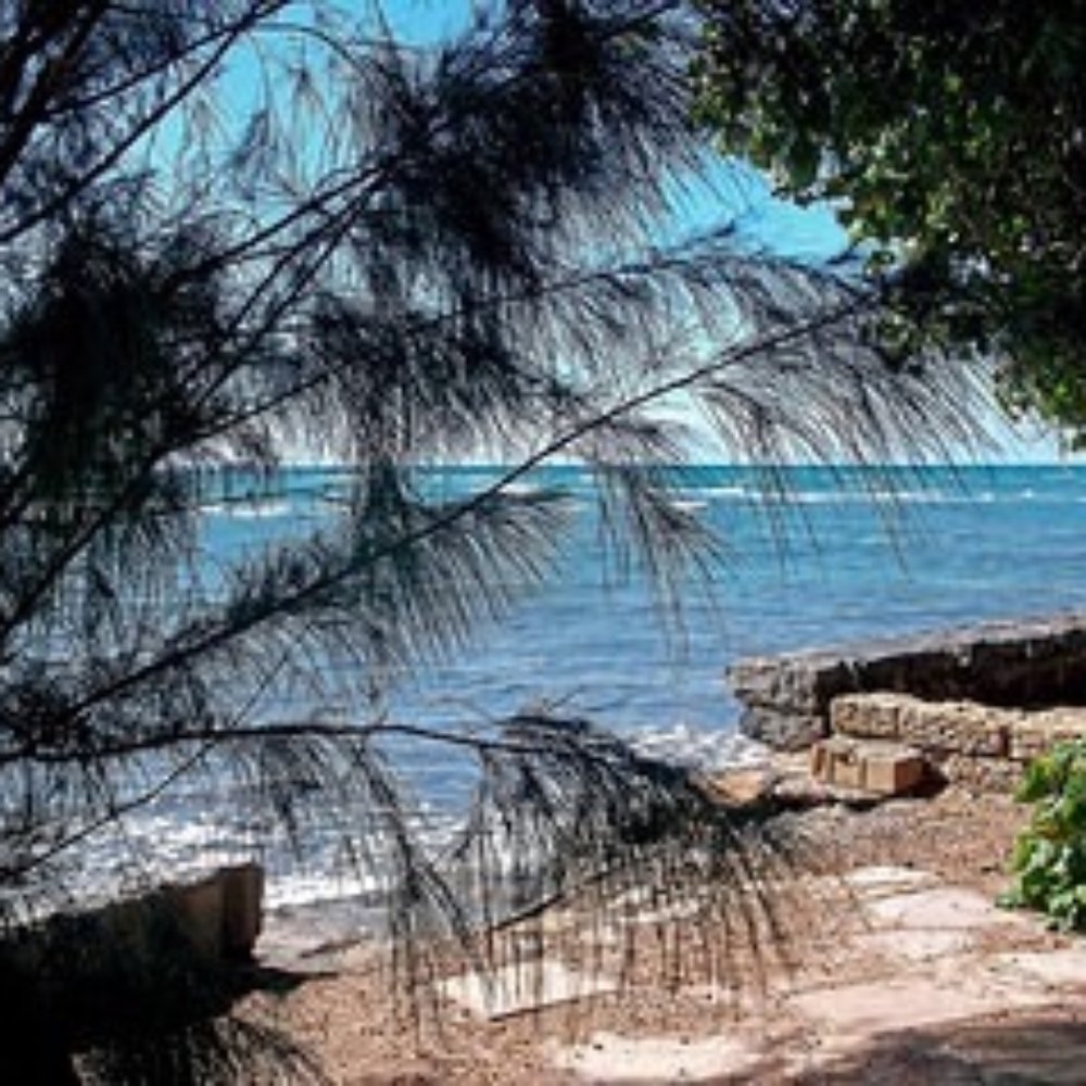 Leahi Beach Park - IDK if you'd want to enter into the ocean this way...reef comes right up to shoreline - Parks Near Me - Honolulu, Hawaii Leahi Beach Park - IDK if you'd want to enter into the ocean this way...reef comes right up to shoreline - Parks Near Me - Honolulu, Hawaii