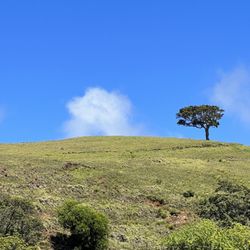 Big Island Bike Tours