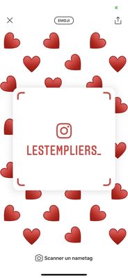 Hôtel Les Templiers by null