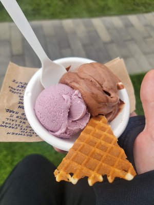 The Beacon La Costa by null