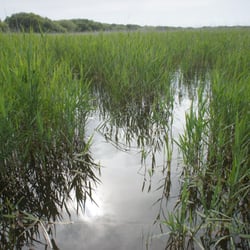 Kenfig National Nature Reserve