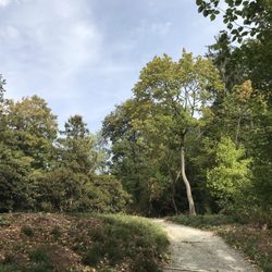 Park Hohenrode