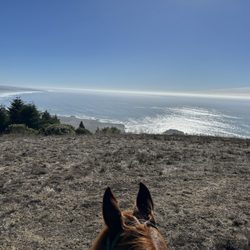 Ricochet Ridge Ranch - Costal ride