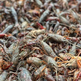 McKee SeaFood Supermarket - Love Crawfish - International Grocery Near Me - San Jose, California McKee SeaFood Supermarket - Love Crawfish - International Grocery Near Me - San Jose, California