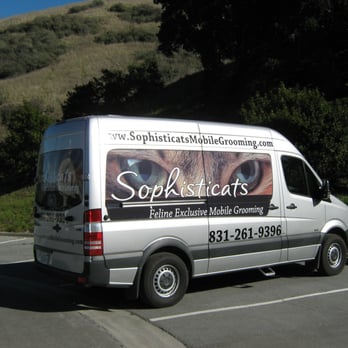 Sophisticats - Pet Groomers Near Me Sophisticats - Pet Groomers Near Me