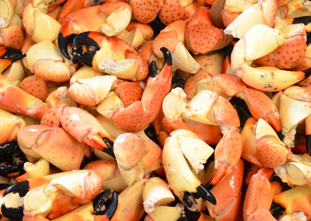Stone Crab Yelp