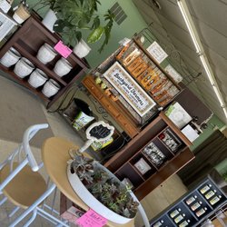 Garden Market - Inside