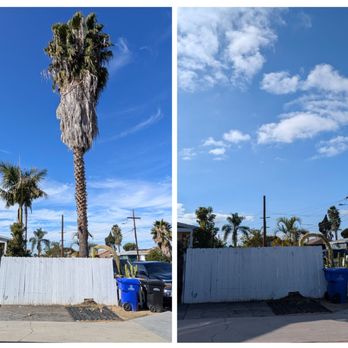 Active Landscape And Tree Service - Before and after. - Tree Services Near Me Active Landscape And Tree Service - Before and after. - Tree Services Near Me