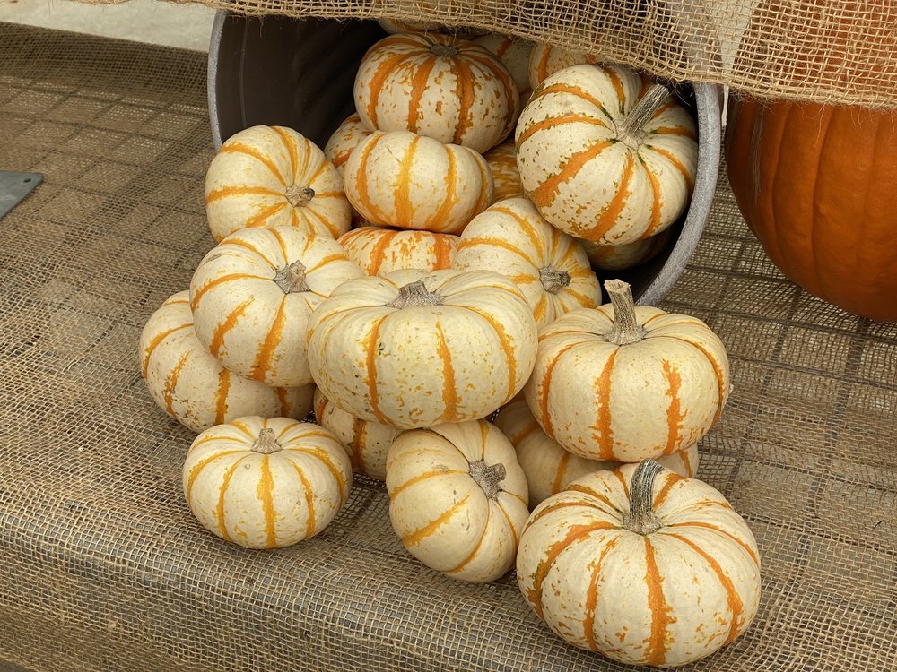 THE HOME DEPOT Updated May 2024 15 Photos & 26 Reviews 6725 104