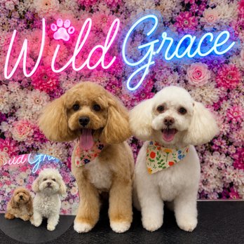 Wild Grace Mobile Pet Spa - Pet Groomers Near Me - Tracy, California Wild Grace Mobile Pet Spa - Pet Groomers Near Me - Tracy, California