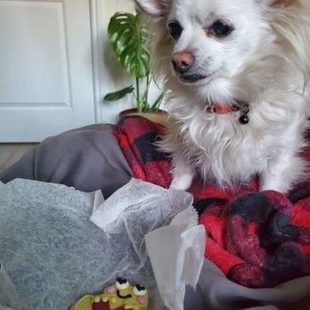 Three Dog Bakery Encino - Valentines Day Cookie $4 - Pet Stores Near Me - Los Angeles, California Three Dog Bakery Encino - Valentines Day Cookie $4 - Pet Stores Near Me - Los Angeles, California
