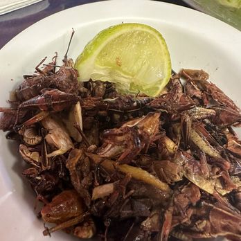 Flor De Oaxaca - Chapulinas! Had to try - Mexican Near Me - Santa Ana, California Flor De Oaxaca - Chapulinas! Had to try - Mexican Near Me - Santa Ana, California