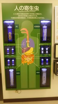 Meguro Parasitological Museum by null