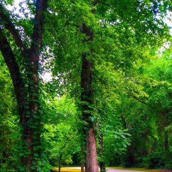 Birds Fort Trail Park - Lush green views - Parks Near Me - Irving, Texas Birds Fort Trail Park - Lush green views - Parks Near Me - Irving, Texas
