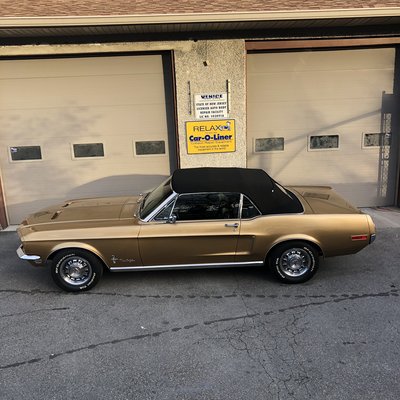 Venice Auto Body & Painting Specialists Inc by null