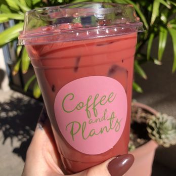 Coffee and Plants - The Rose Bowl Latte - Coffee & Tea Near Me - Pasadena, California