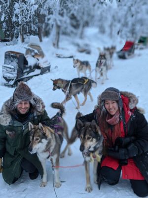 Alaska Homestead Adventures by null