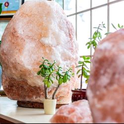 We Wax That Spa - We Wax That Spa releases negative ions in our environment for a mark calming effect on the mind and body.