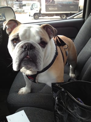 Guy Clermont Plumbing & Heating Logo