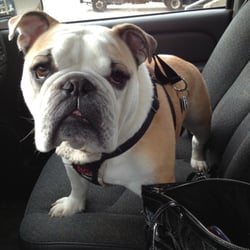 Guy Clermont Plumbing & Heating