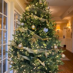 Christmas Tree Christmas Tree