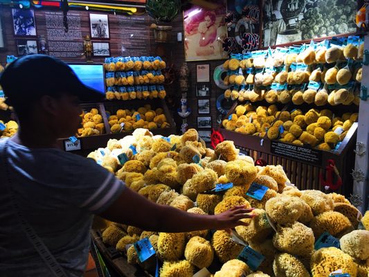 Key West Sponge Market by null