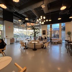 Shotted Cafe - Inside
