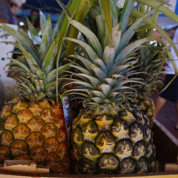 Manoa Farmers' Market - Dole pineapple - Farmers Market Near Me - Honolulu, Hawaii Manoa Farmers' Market - Dole pineapple - Farmers Market Near Me - Honolulu, Hawaii