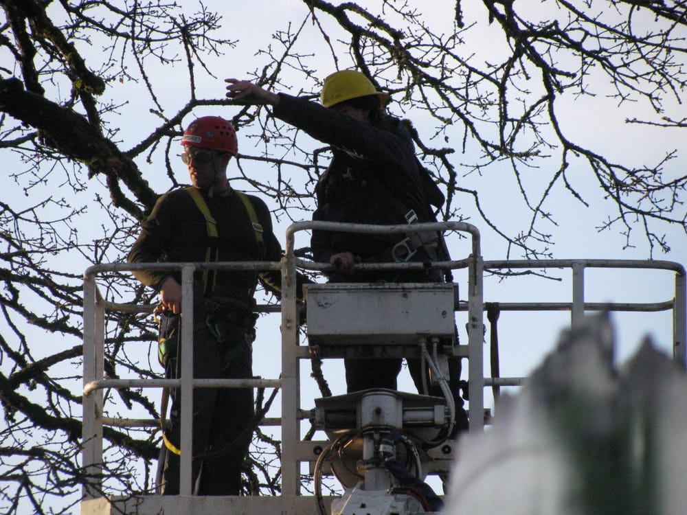 Tree Resource - tree service in Federal Way, WA