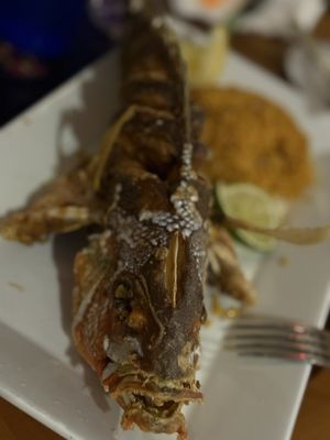 Catch of the Day by null