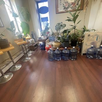 Nihao Cafe and Tea House - Plants covering any seating area - Bubble Tea Near Me - Johnson City, New York