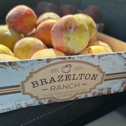 Brazelton Ranch