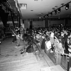 Shrine Social Club