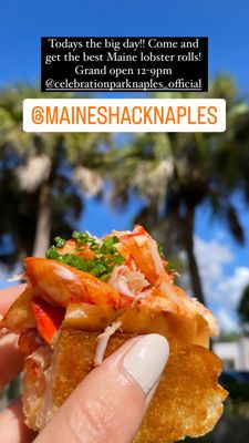 Maine Shack by null