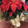 Photo of Atlanta Floral & Gifts