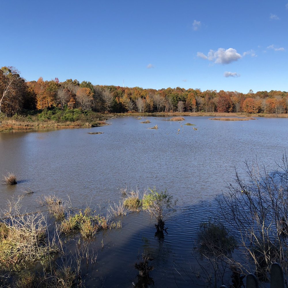Huntley Meadows Park - Parks Near Me - Alexandria, Virginia Huntley Meadows Park - Parks Near Me - Alexandria, Virginia