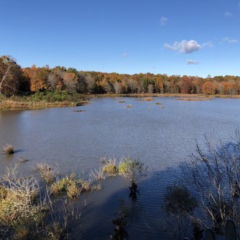 Huntley Meadows Park - Parks Near Me - Alexandria, Virginia Huntley Meadows Park - Parks Near Me - Alexandria, Virginia