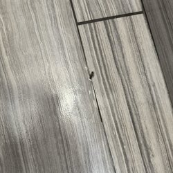 Days Inn by Wyndham Chowchilla Gateway to Yosemite - Dirty floors and bugs