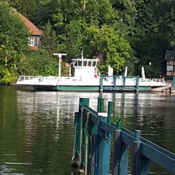 Fähre Pfaueninsel