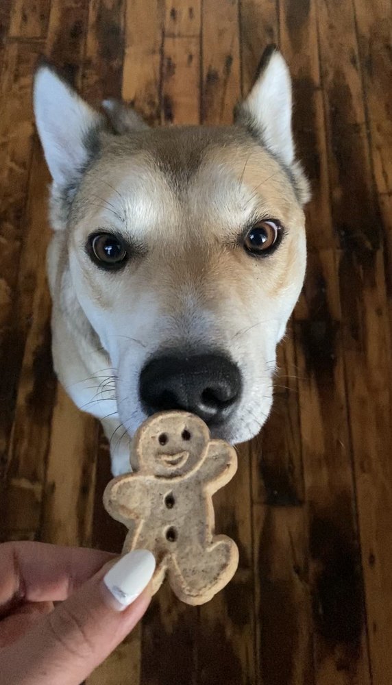 Ciao! Bow Wow Image