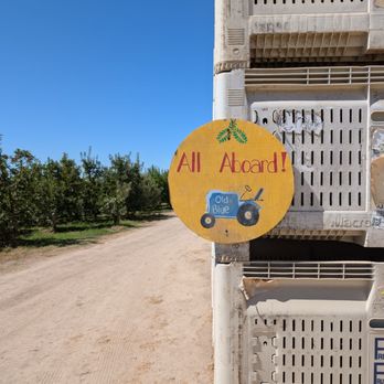 Lucky You Orchards - Ripon - Pick Your Own Farms Near Me - Ripon, California Lucky You Orchards - Ripon - Pick Your Own Farms Near Me - Ripon, California