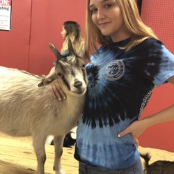 Zoobeez Petting Zoo