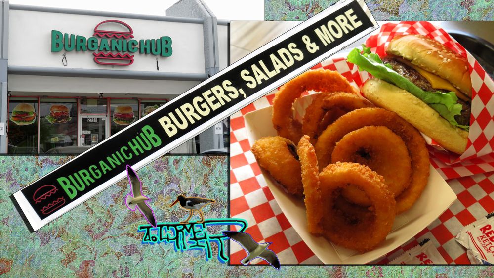 Burganic Hub