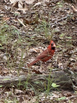 Elizabeth A. Morton National Wildlife Refuge by null