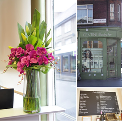 Centini Blowdry Bar