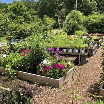 Catskill Native Nursery - Nurseries & Gardening Near Me - Kerhonkson, New York