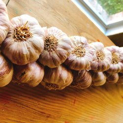 Watauga Farmers Market